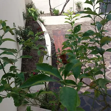 Luna Apartament Olbia